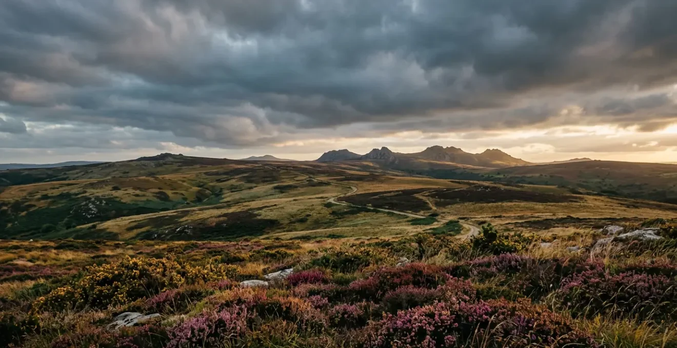 Paysage panoramique des landes bruyères des Monts d'Arrée sous un ciel dramatique de Bretagne
