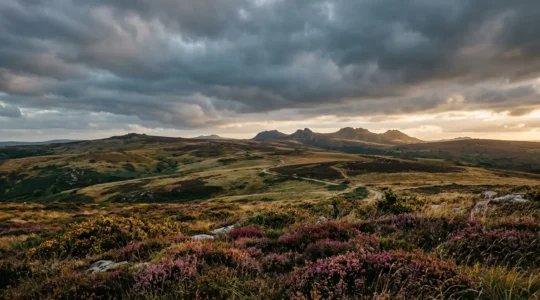 Paysage panoramique des landes bruyères des Monts d'Arrée sous un ciel dramatique de Bretagne