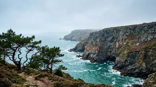 Vue panoramique sur les falaises escarpées de la presqu'île de Crozon avec eaux turquoise et pins maritimes
