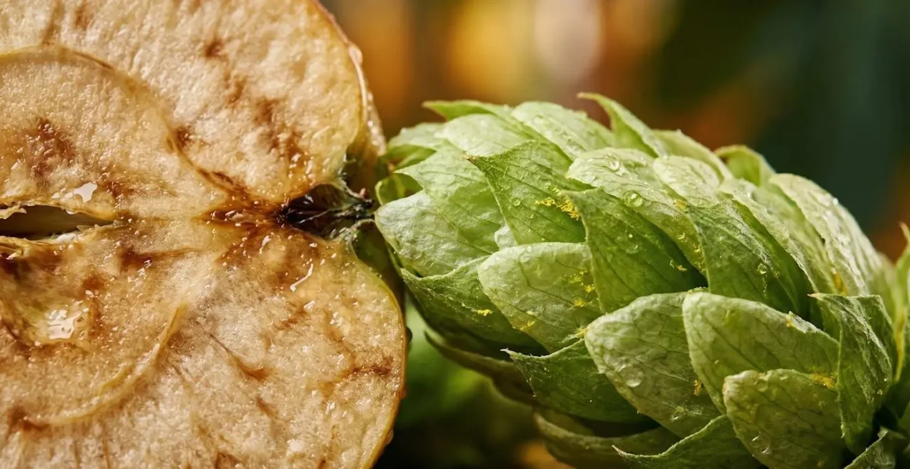 Gros plan macro sur des cônes de houblon Cascade et pommes à cidre révélant leurs textures
